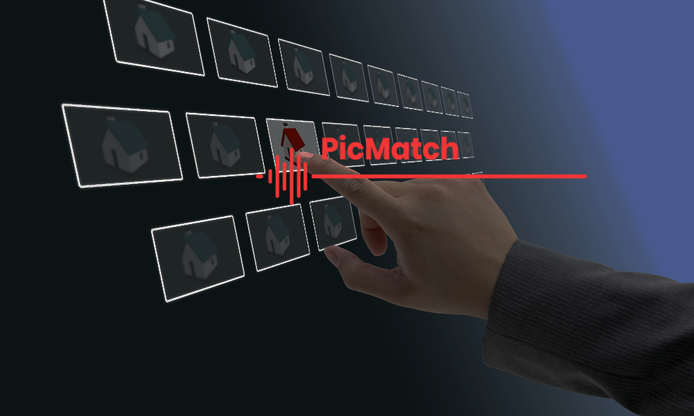 PicMatch Overview 1000600